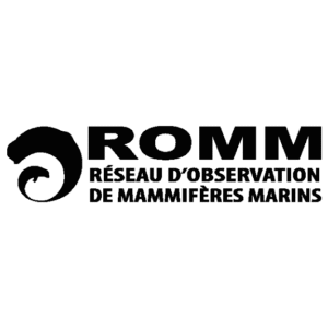 Nouveau projet (3)