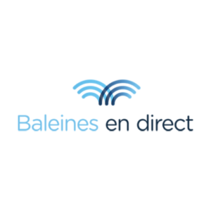 Nouveau projet (5)